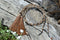Close Up View Western Style 1/4" wide and 24" long, braided horse hair eye glass holder (gator/leash) with tassels.     Chestnut/Black/White