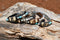 Close Up View Various Colors Awesome 3/8" wide, 3 Strand Braided Horsehair Bracelet with a lobster claw clasp and various colored and patterned bone beads. Various colors