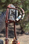 Jose Ortiz Medium Oil Double Ear Headstall Natural & Turquoise Rawhide Braiding
