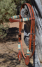 Jose Ortiz Medium Oil Shape Brow Headstall Natural/Turquoise Rawhide