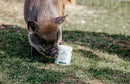 Show Off Udderly Amazing Balm