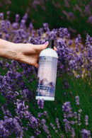 Skin Lotion