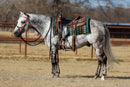 1313DOM-56 Domino 40X34 New Zealand Wool Saddle Blanket
