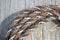 Jose Ortiz 1/4" Mane Hair Mecate Reins 22' - Chestnut/Sorrel/White/Black & White
