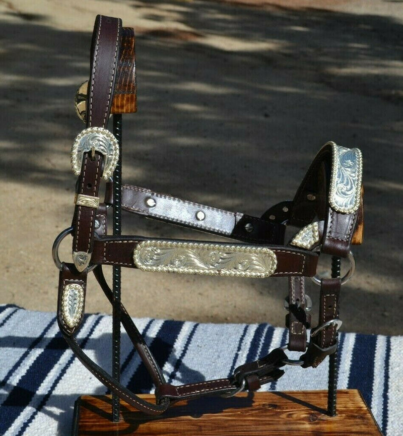 Beautiful Circle Y Dark Oil Show Halter.  Dark walnut leather with engraved sterling overlay berry edge silver studded with Swarovski crystals.  Stunning halter will be amazing under the lights
