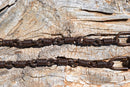 11" Spiral Bridle Bit Rein Chains Rusty Brown Finish - PAIR
