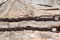 11" Spiral Bridle Bit Rein Chains Rusty Brown Finish - PAIR