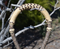 Jose Ortiz 5/8"  12 Plait Brown Beveled and Natural Rawhide Bosal - Round Knot