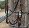 Jose Ortiz 5/8" Shape Browband Headstall.  Constructed of two-ply and stitched dark chocolate oil  finished leather.  Hand carved with Jose's signature basket weave tooling and natural hand braided rawhide with turquoise details on cheek pieces and browband