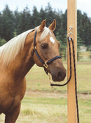 Shown with Horse Tied:  The Blocker Tie Ring has changed the way people tie their horses, providing a safe, humane way to tie your horse. 