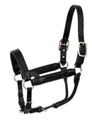 Leather Western Black Faux Crocodile Embossed Show Halter - Stainless - Horse Size