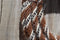 Jose Ortiz 5/8" Mane Mecate Reins - 6 Str x 22' - Chestnut/Black & White