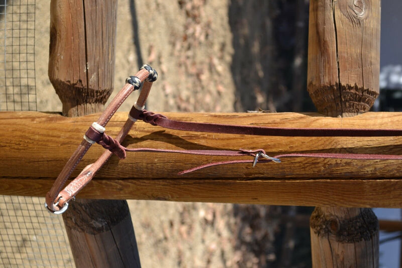 Jose Ortiz has made these beautiful rolled harness leather adjustable western training cavesons with latigo hangers.   Made from beautifully conditioned Hermann Oak harness leather with 3 natural and black and natural rawhide knots over the nose and natural rawhide hanger knots. 