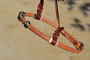 Close Up View Jose Ortiz has made these beautiful rolled harness leather adjustable western training cavesons with latigo hangers.   Made from beautifully conditioned Hermann Oak harness leather with 3 natural and black and natural rawhide knots over the nose and natural rawhide hanger knots. 