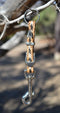 Close Up View Handmade natural horsehair braided key chain with silver tone faux buckle and snap. This key chain is about 6" long including the 1" key ring loop to connect the keys.   Sorrel/Black/White