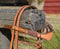 Close Up View Front View Light russet oil 5/8"wide browband headstall with quick change connectors at the bit end. Constructed of two-ply and stitched natural russet bridle leather with hand rubbed and finished edges and adorned with brown hand braided beveled rawhide. 