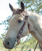 Circle Y of Yoakum - Browband Headstall with Brown / White / Black Beaded Southwest Overlay.  Dark chestnut leather and replaceable buckles.  Latigo ties and conchos at bit ends. Horse sized, the crown measures 46" from bit end to bit end on the longest setting and adjustment to make up to 8" shorter.