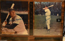 20 year Baseball Memorabillia Collection - Hall of Fame Greats, Negro leagues players and even a few locals.  Autographed baseballs, plaques, bats, artwork, etc.  All the big names. 