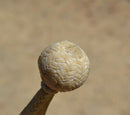 Close UP Rawhide braiding Jose Oritz 1/4" hand braided light natural rawhide bosal with round shaped knot.  This bosal has 12 plait cheeks over a flexible all rawhide core.