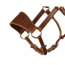 Close Up View Western Harness Leather Ranch Horse Halter - Horse Size