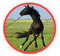 Tie Ease Quick Knotless Horse Safety Tie - Set of Two