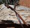 Jose Ortiz handmade 1/2" latigo leather long tassel curb strap.  Tassel is 6" in length and attaches with self-tie bit attachments. 