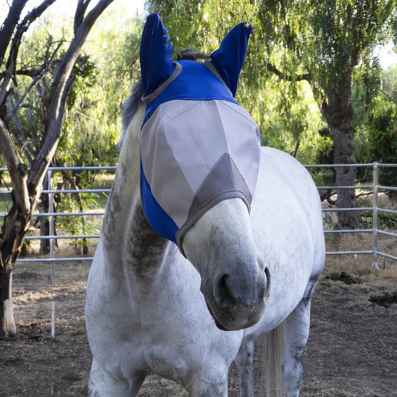Blue - Say 'Bye' to biting insects! These lightweight and breathable fly boots are made from a durable outer mesh with UV coating. The boots are designed to stay in place with a unique design that combines stiff binding and an ergonomic shape, tapered to fit your horse's legs. 