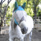 Turquoise - Say 'Bye' to biting insects! These lightweight and breathable fly boots are made from a durable outer mesh with UV coating. The boots are designed to stay in place with a unique design that combines stiff binding and an ergonomic shape, tapered to fit your horse's legs. 
