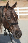 Black - A braided soft yet sturdy mule tape rope halter that features a flat nose and comes complete with a matching ten foot lead. Beaded nose band gives a fun fashion flare to the noseband. 