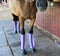 Purple - Say 'Bye' to biting insects! These lightweight and breathable fly boots are made from a durable outer mesh with UV coating. The boots are designed to stay in place with a unique design that combines stiff binding and an ergonomic shape, tapered to fit your horse's legs. 