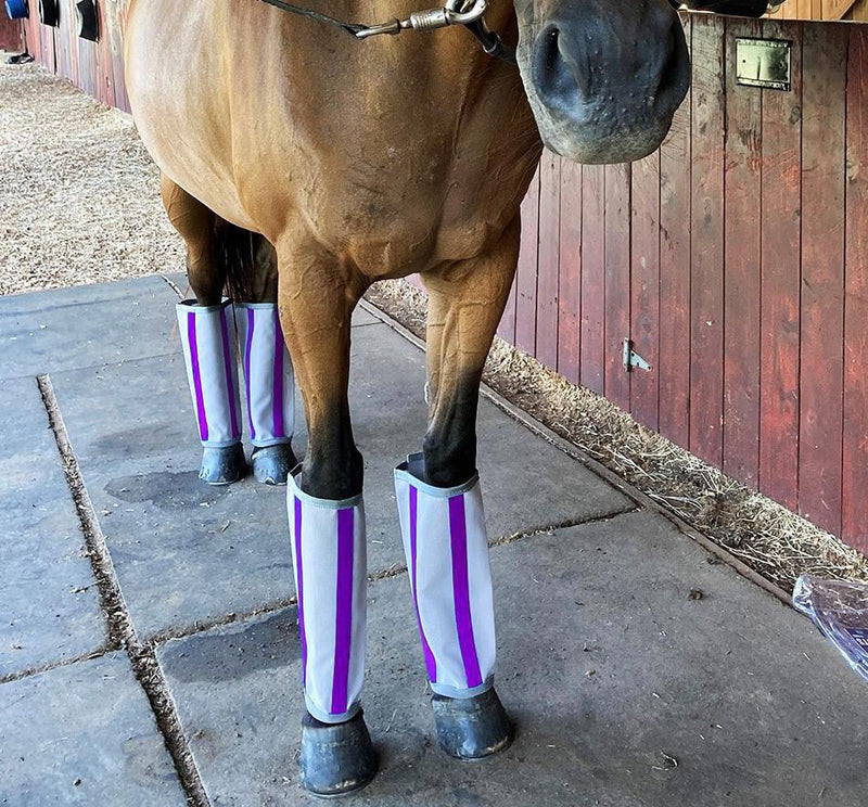 Purple - Say 'Bye' to biting insects! These lightweight and breathable fly boots are made from a durable outer mesh with UV coating. The boots are designed to stay in place with a unique design that combines stiff binding and an ergonomic shape, tapered to fit your horse's legs. 