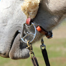 Shown Modeled on a Horse Myler Level 2 - 5" Stainless Steel Western Dee Bit with 2 Hooks and Sweet Iron Low Port Comfort Snaffle (MB 04) Copper Inlay Mouth.  This mouthpiece will naturally oxidize, or rust.  Harmless to horses, it has a sweet taste and promotes salivation.